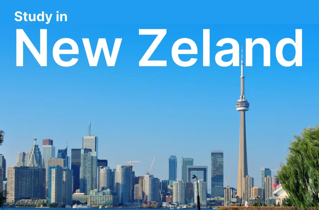 New Zealand landscape representing international study opportunities.