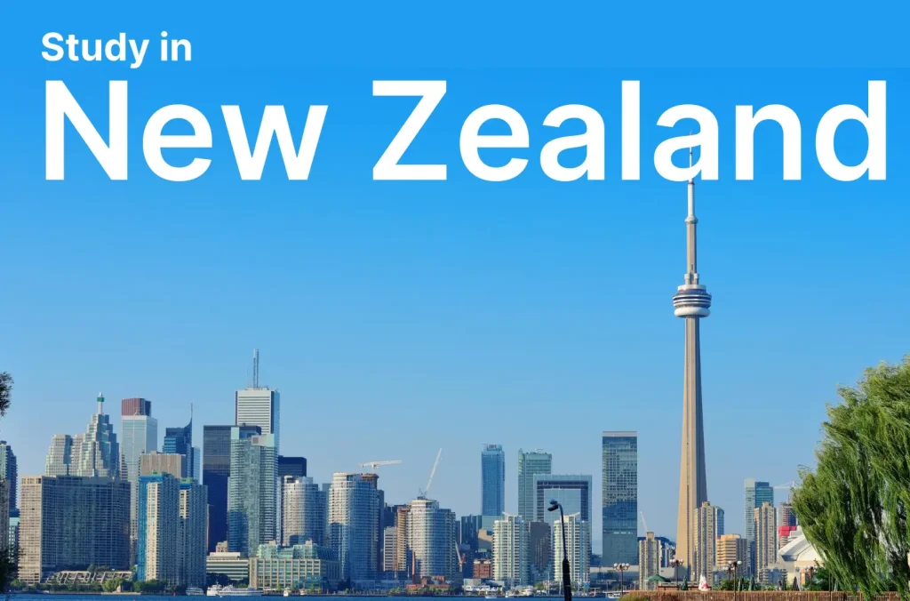 New Zealand landscape representing international study opportunities.